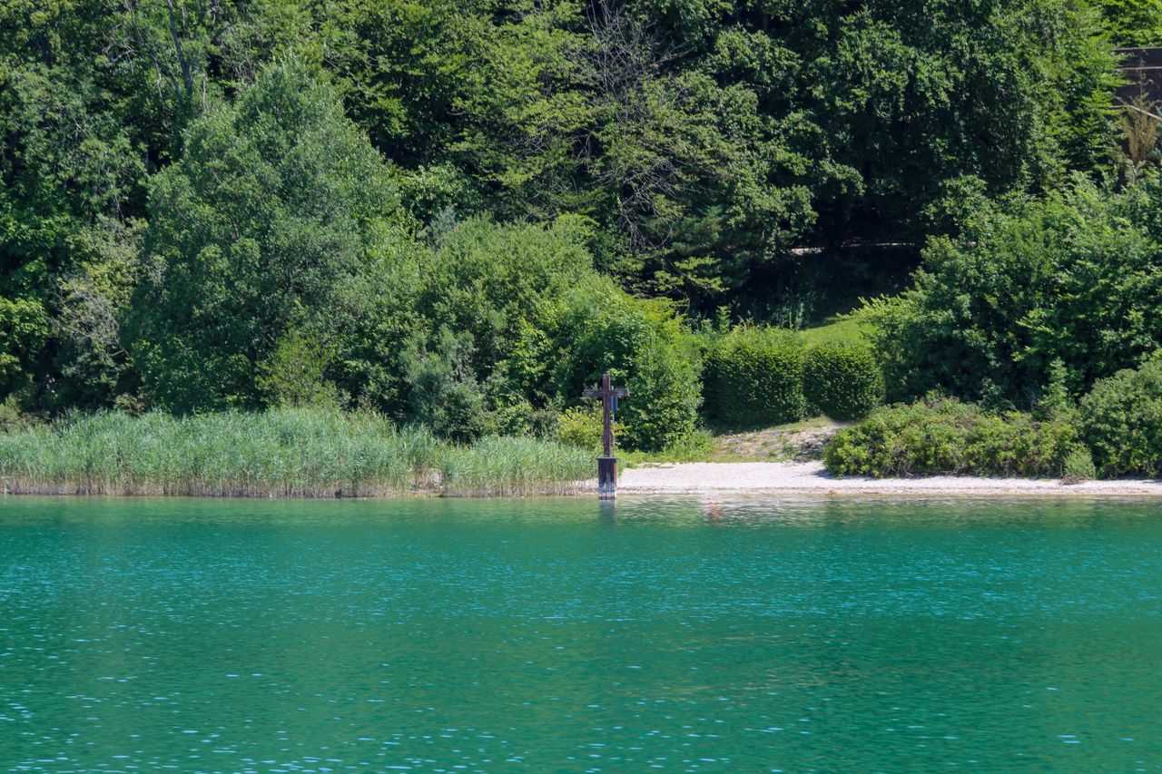 Peaceful lakeside view at Starnberger See, Germany with lush greenery and clear water.