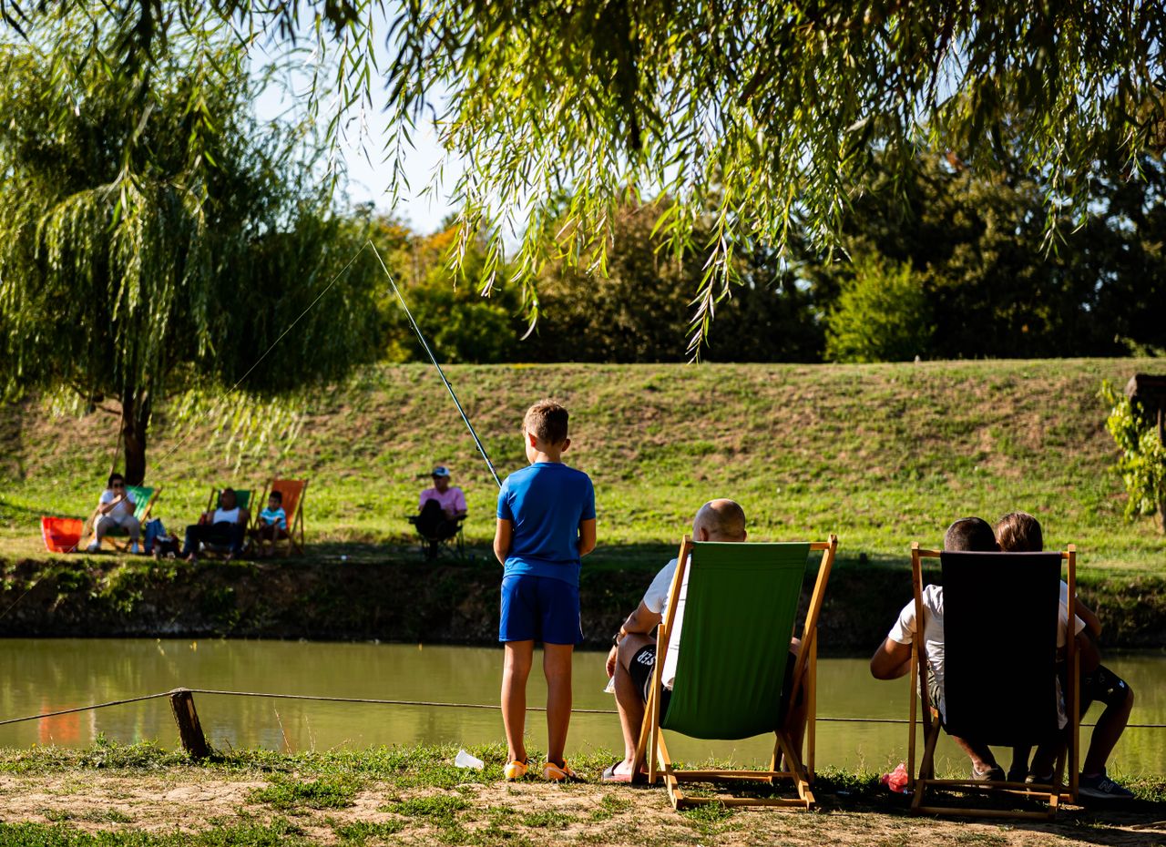 Young boy fishing by a pond on a sunny day, surrounded by trees and relaxed people.